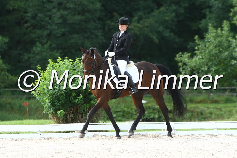 109M9323_Faszzination_Dressur Mxx_Youngster Cup.JPG